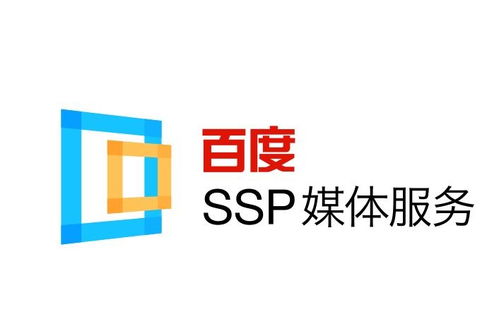 怎么搭建蜘蛛池